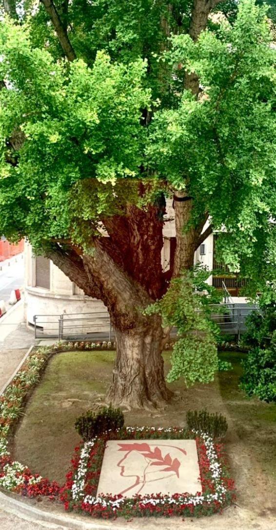 Ravenna Suite المظهر الخارجي الصورة